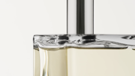 JEAN-BAPTISTE VILLECHAIZE