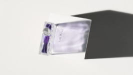 JEAN-BAPTISTE VILLECHAIZE