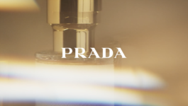 JEAN-BAPTISTE VILLECHAIZE