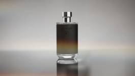 JEAN-BAPTISTE VILLECHAIZE