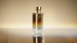 JEAN-BAPTISTE VILLECHAIZE