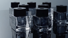 JEAN-BAPTISTE VILLECHAIZE