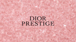 JEAN-BAPTISTE VILLECHAIZE