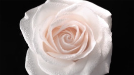 JEAN-BAPTISTE VILLECHAIZE