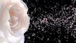 JEAN-BAPTISTE VILLECHAIZE