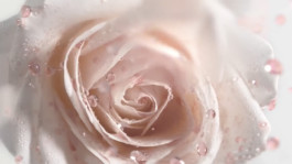 JEAN-BAPTISTE VILLECHAIZE