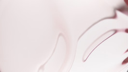 JEAN-BAPTISTE VILLECHAIZE