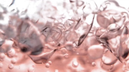 JEAN-BAPTISTE VILLECHAIZE