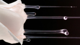 JEAN-BAPTISTE VILLECHAIZE