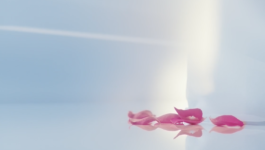 JEAN-BAPTISTE VILLECHAIZE