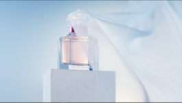 JEAN-BAPTISTE VILLECHAIZE