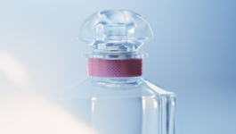 JEAN-BAPTISTE VILLECHAIZE