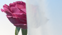 JEAN-BAPTISTE VILLECHAIZE