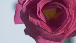 JEAN-BAPTISTE VILLECHAIZE