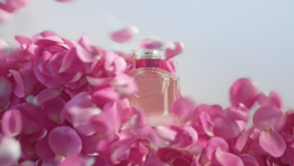 JEAN-BAPTISTE VILLECHAIZE