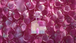 JEAN-BAPTISTE VILLECHAIZE