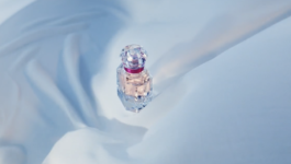 JEAN-BAPTISTE VILLECHAIZE