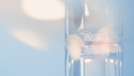 JEAN-BAPTISTE VILLECHAIZE