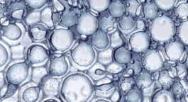 JEAN-BAPTISTE VILLECHAIZE