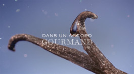 JEAN-BAPTISTE VILLECHAIZE