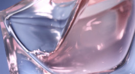 JEAN-BAPTISTE VILLECHAIZE