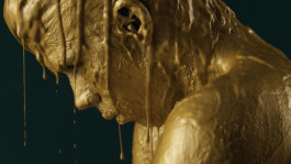 JEAN-BAPTISTE VILLECHAIZE