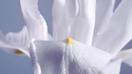 JEAN-BAPTISTE VILLECHAIZE