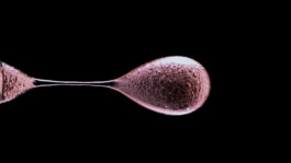 JEAN-BAPTISTE VILLECHAIZE