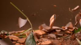 JEAN-BAPTISTE VILLECHAIZE