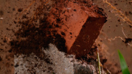 JEAN-BAPTISTE VILLECHAIZE