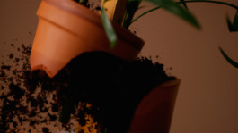 JEAN-BAPTISTE VILLECHAIZE