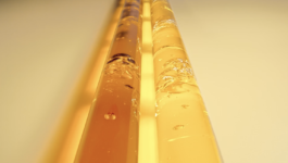 JEAN-BAPTISTE VILLECHAIZE