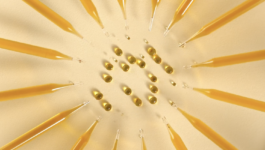 JEAN-BAPTISTE VILLECHAIZE