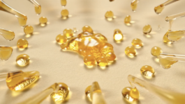 JEAN-BAPTISTE VILLECHAIZE