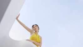 JEAN-BAPTISTE VILLECHAIZE