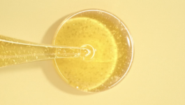 JEAN-BAPTISTE VILLECHAIZE